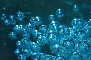 Blue macro bubbles